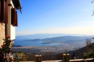 Archontiko Koilia_best deals_Hotel_Thessaly_Magnesia_Makrinitsa