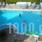 Villa Mary and Villa Anna_accommodation_in_Villa_Crete_Heraklion_Stalida