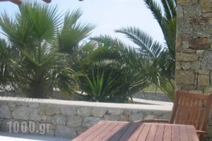 Giannoulaki Hotel_travel_packages_in_Cyclades Islands_Mykonos_Mykonos Chora