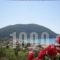 Katerina Resort_best deals_Room_Ionian Islands_Lefkada_Lefkada Rest Areas