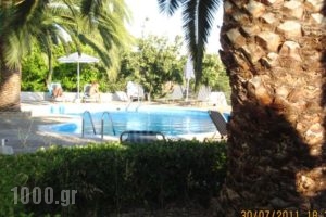 Sofia Studios_best prices_in_Hotel_Ionian Islands_Kefalonia_Kefalonia'st Areas