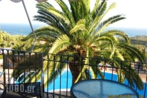 Sofia Studios_holidays_in_Hotel_Ionian Islands_Kefalonia_Kefalonia'st Areas