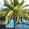 Sofia Studios_holidays_in_Hotel_Ionian Islands_Kefalonia_Kefalonia'st Areas