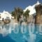 Makis Place_lowest prices_in_Hotel_Cyclades Islands_Mykonos_Mykonos ora