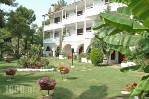 Porfi Beach Hotel_accommodation_in_Hotel_Macedonia_Halkidiki_Kassandreia