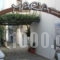 Studios Maria_accommodation_in_Apartment_Aegean Islands_Samos_Samos Rest Areas