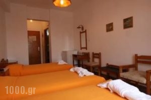 Hotel Aliprantis_best prices_in_Hotel_Cyclades Islands_Paros_Piso Livadi
