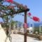 Fissi Villas_best deals_Villa_Crete_Lasithi_Aghios Nikolaos