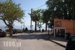 Lerna Rooms in Metsovo, Ioannina, Epirus