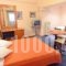 Acropole Hotel_best prices_in_Hotel_Central Greece_Attica_Piraeus