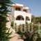 Stefanos Studios_best prices_in_Apartment_Dodekanessos Islands_Patmos_Skala