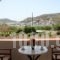 Stefanos Studios_lowest prices_in_Apartment_Dodekanessos Islands_Patmos_Skala