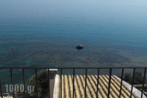 El Greco Hotel_holidays_in_Hotel_Ionian Islands_Corfu_Corfu Chora