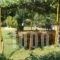 Giota_accommodation_in_Hotel_Peloponesse_Ilia_Arkoudi