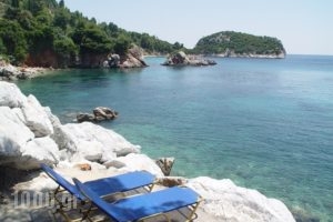 Mando Beachfront_lowest prices_in_Hotel_Sporades Islands_Skopelos_Stafylos