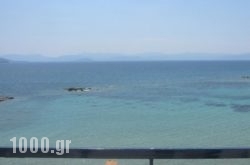 Avra in Aigina Chora, Aigina, Piraeus Islands - Trizonia