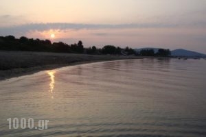 Haus Eleonas_travel_packages_in_Macedonia_Halkidiki_Poligyros