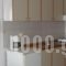 Haus Eleonas_lowest prices_in_Hotel_Macedonia_Halkidiki_Poligyros