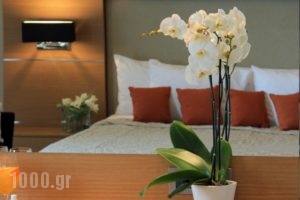 Elektra Hotel & Spa_accommodation_in_Hotel_Thessaly_Magnesia_Pilio Area