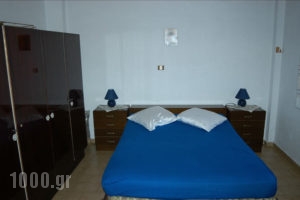 Olympia's House_holidays_in_Room_Ionian Islands_Ithaki_Ithaki Rest Areas