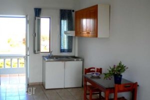 Anthemis_lowest prices_in_Hotel_Crete_Chania_Daratsos