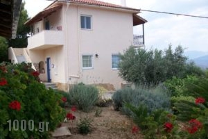 Maistros Studios_accommodation_in_Apartment_Central Greece_Fokida_Galaxidi