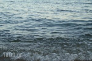 Haus Eleonas_holidays_in_Hotel_Macedonia_Halkidiki_Poligyros