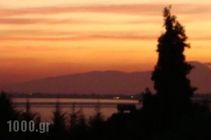 Haus Eleonas_best prices_in_Hotel_Macedonia_Halkidiki_Poligyros