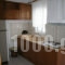 Antigoni Apartments_best prices_in_Apartment_Macedonia_Thessaloniki_Asprovalta