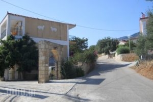 Eleni 3_best prices_in_Apartment_Ionian Islands_Kefalonia_Lourdata