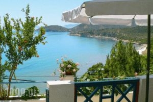 Blue Horizon_accommodation_in_Hotel_Aegean Islands_Samos_Marathokambos