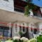 Kipos Hotel_best prices_in_Hotel_Aegean Islands_Thasos_Thasos Chora