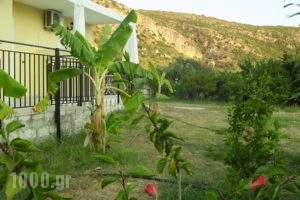 Pantelios Village_best prices_in_Hotel_Ionian Islands_Kefalonia_Vlachata