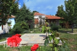 Danae House in Portaria, Magnesia, Thessaly