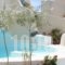 Lotza Studios_travel_packages_in_Cyclades Islands_Sandorini_Oia