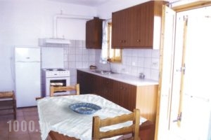 Thalassia_best deals_Apartment_Sporades Islands_Skyros_Kalamitsa