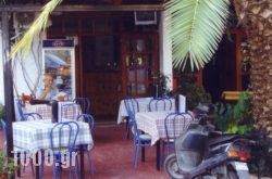 Olympic Holidays in Grekochori, Thesprotia, Epirus