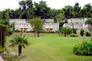 Sani Beach Club_accommodation_in_Hotel_Macedonia_Halkidiki_Sani