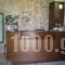 Olympia Guesthouse_best deals_Hotel_Macedonia_Imathia_Vergina