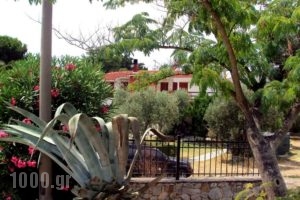 Kari_accommodation_in_Hotel_Macedonia_Halkidiki_Ouranoupoli