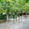 Dirfis_accommodation_in_Hotel_Central Greece_Evia_Steni