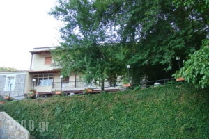 Dirfis_best prices_in_Hotel_Central Greece_Evia_Steni