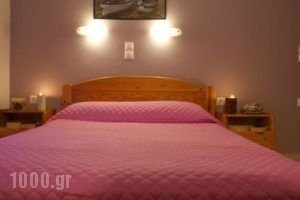 Pension Irene 2_holidays_in_Hotel_Cyclades Islands_Naxos_Naxos Chora