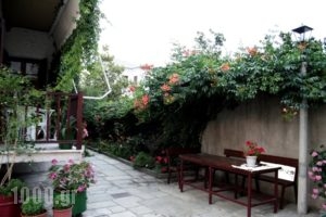 Arriba_accommodation_in_Apartment_Thessaly_Magnesia_Afissos