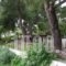 Para Thin Alos_best deals_Hotel_Macedonia_Halkidiki_Pefkochori