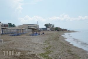 Municipal Camping of Alexandroupolis_travel_packages_in_Thraki_Evros_Alexandroupoli