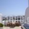 Danaides Apartments_best deals_Apartment_Cyclades Islands_Paros_Paros Chora