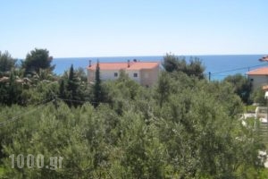 Petradaki Apartments_best deals_Apartment_Macedonia_Halkidiki_Kassandreia