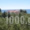 Petradaki Apartments_best deals_Apartment_Macedonia_Halkidiki_Kassandreia