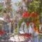 Alkionides Pension_lowest prices_in_Hotel_Piraeus Islands - Trizonia_Hydra_Hydra Chora